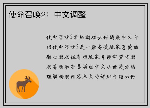 使命召唤2：中文调整